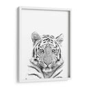 Tigre Blanco y Negro - Alemi | Cuadro decorativo de Canvas Lab