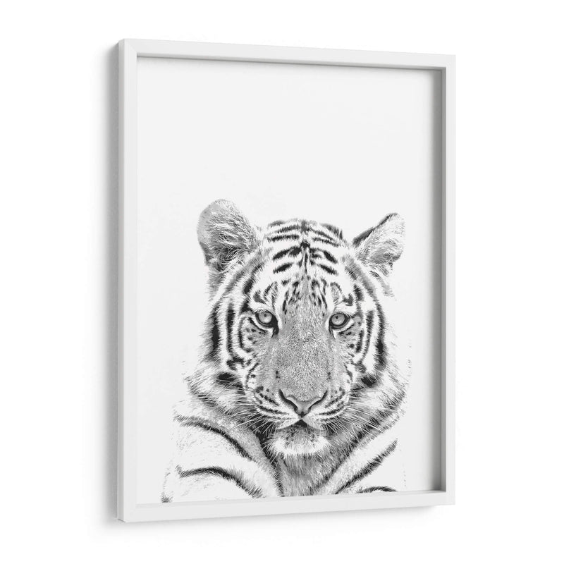 Tigre Blanco y Negro - Alemi | Cuadro decorativo de Canvas Lab