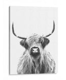 Vaca de las Tierras Altas en Blanco y Negro - Alemi | Cuadro decorativo de Canvas Lab