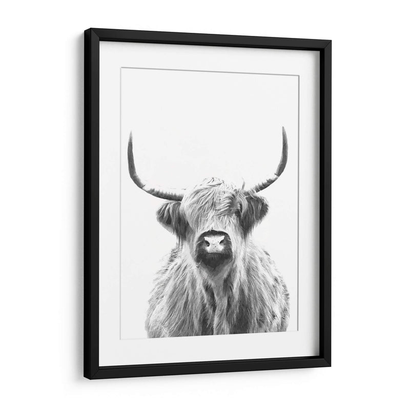 Vaca de las Tierras Altas en Blanco y Negro - Alemi | Cuadro decorativo de Canvas Lab