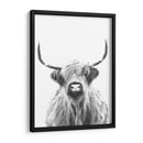 Vaca de las Tierras Altas en Blanco y Negro - Alemi | Cuadro decorativo de Canvas Lab