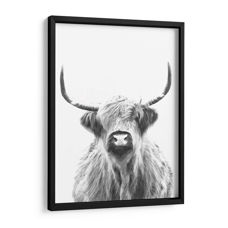 Vaca de las Tierras Altas en Blanco y Negro - Alemi | Cuadro decorativo de Canvas Lab