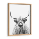 Vaca de las Tierras Altas en Blanco y Negro - Alemi | Cuadro decorativo de Canvas Lab