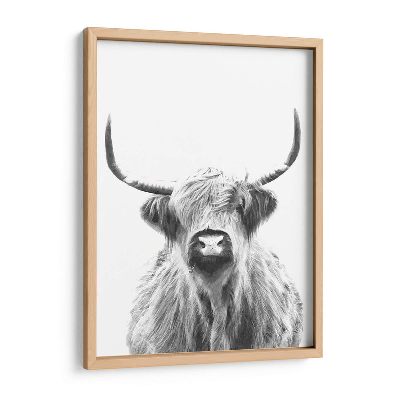 Vaca de las Tierras Altas en Blanco y Negro - Alemi | Cuadro decorativo de Canvas Lab