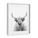 Vaca de las Tierras Altas en Blanco y Negro - Alemi | Cuadro decorativo de Canvas Lab