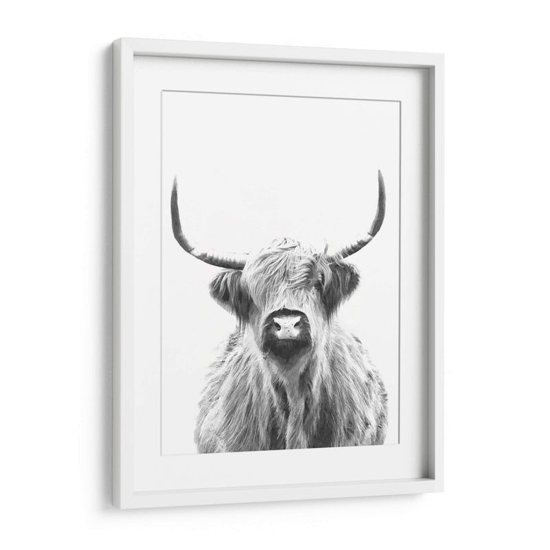 Vaca de las Tierras Altas en Blanco y Negro - Alemi | Cuadro decorativo de Canvas Lab