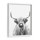 Vaca de las Tierras Altas en Blanco y Negro - Alemi | Cuadro decorativo de Canvas Lab