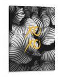 Xoxo Hojas Blancas y Negras - Alemi | Cuadro decorativo de Canvas Lab