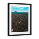 RUINAS DE VOLCÁN PARICUTÍN 2 - MICHOACÁN - Luis Fernando Cortez | Cuadro decorativo de Canvas Lab