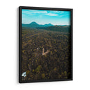 RUINAS DE VOLCÁN PARICUTÍN 2 - MICHOACÁN - Luis Fernando Cortez | Cuadro decorativo de Canvas Lab