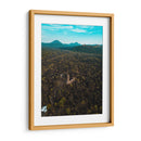 RUINAS DE VOLCÁN PARICUTÍN 2 - MICHOACÁN - Luis Fernando Cortez | Cuadro decorativo de Canvas Lab