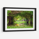 Camecuaro - Marcos Rodríguez | Cuadro decorativo de Canvas Lab