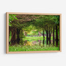 Camecuaro - Marcos Rodríguez | Cuadro decorativo de Canvas Lab