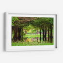 Camecuaro - Marcos Rodríguez | Cuadro decorativo de Canvas Lab