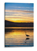 Garza en Laguna al Atardecer - Marcos Rodríguez | Cuadro decorativo de Canvas Lab