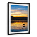 Garza en Laguna al Atardecer - Marcos Rodríguez | Cuadro decorativo de Canvas Lab