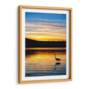 Garza en Laguna al Atardecer - Marcos Rodríguez | Cuadro decorativo de Canvas Lab