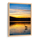 Garza en Laguna al Atardecer - Marcos Rodríguez | Cuadro decorativo de Canvas Lab
