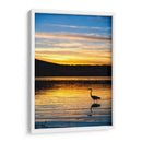 Garza en Laguna al Atardecer - Marcos Rodríguez | Cuadro decorativo de Canvas Lab