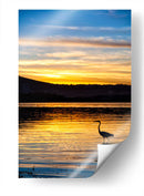 Garza en Laguna al Atardecer - Marcos Rodríguez | Cuadro decorativo de Canvas Lab