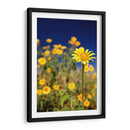 Girasoles Salvajes 1 - Marcos Rodríguez | Cuadro decorativo de Canvas Lab