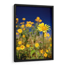 Girasoles Salvajes 1 - Marcos Rodríguez | Cuadro decorativo de Canvas Lab