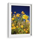 Girasoles Salvajes 1 - Marcos Rodríguez | Cuadro decorativo de Canvas Lab