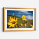 Girasoles Salvajes 3 - Marcos Rodríguez | Cuadro decorativo de Canvas Lab