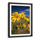 Girasoles Salvajes 4 - Marcos Rodríguez | Cuadro decorativo de Canvas Lab