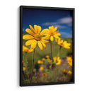 Girasoles Salvajes 4 - Marcos Rodríguez | Cuadro decorativo de Canvas Lab