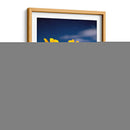 Girasoles Salvajes 4 - Marcos Rodríguez | Cuadro decorativo de Canvas Lab