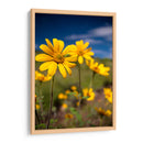 Girasoles Salvajes 4 - Marcos Rodríguez | Cuadro decorativo de Canvas Lab