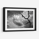 Nubes y Árbol - Marcos Rodríguez | Cuadro decorativo de Canvas Lab