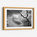 Nubes y Árbol - Marcos Rodríguez | Cuadro decorativo de Canvas Lab