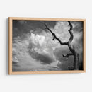 Nubes y Árbol - Marcos Rodríguez | Cuadro decorativo de Canvas Lab