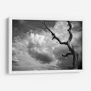 Nubes y Árbol - Marcos Rodríguez | Cuadro decorativo de Canvas Lab