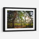 Plantación de Palmeras - Marcos Rodríguez | Cuadro decorativo de Canvas Lab