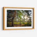 Plantación de Palmeras - Marcos Rodríguez | Cuadro decorativo de Canvas Lab