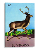 45 - El Venado | Cuadro decorativo de Canvas Lab