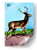 45 - El Venado | Cuadro decorativo de Canvas Lab