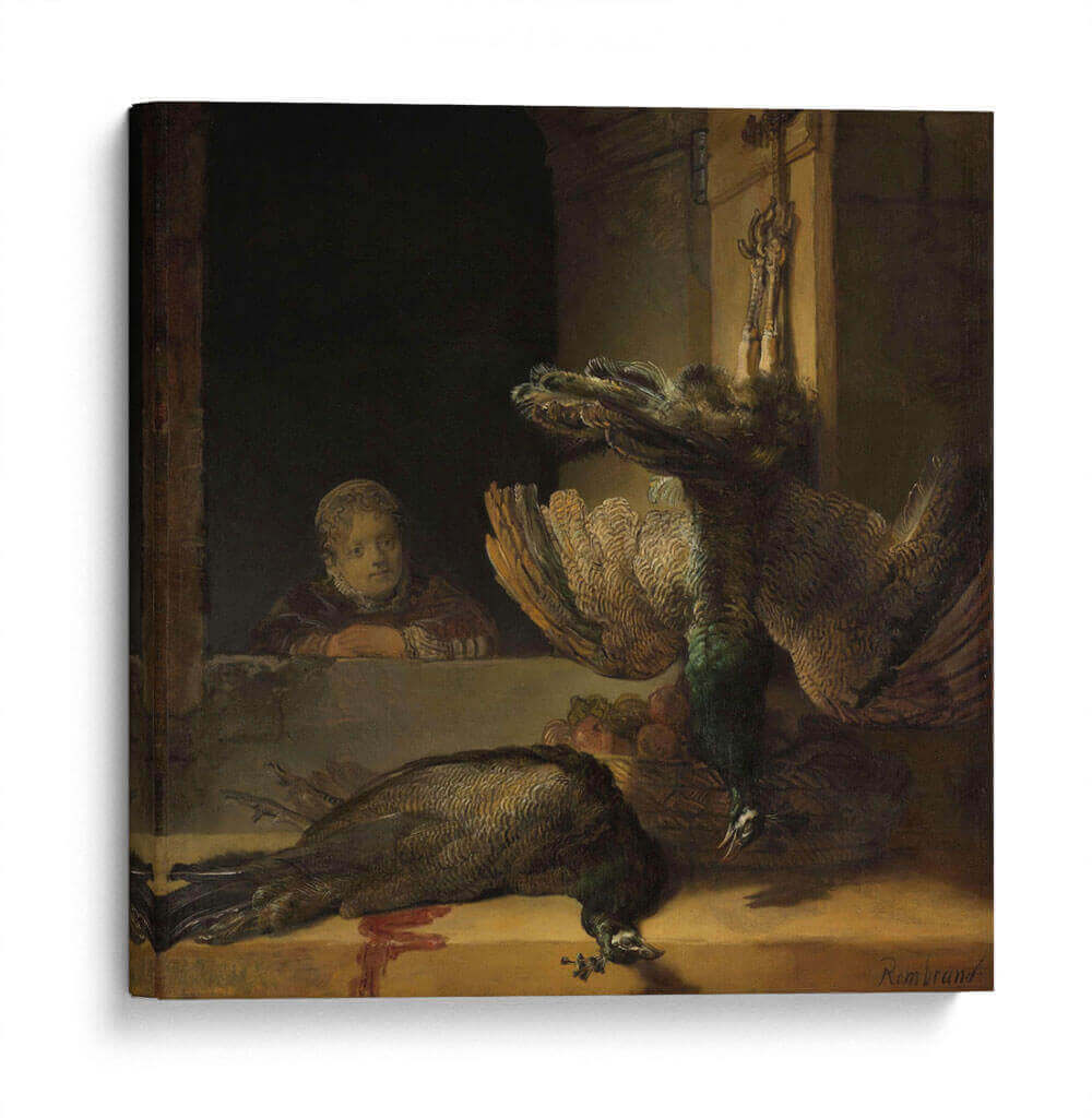 Naturaleza muerta con pavos reales - Rembrandt van Rijn | Cuadro decorativo de Canvas Lab