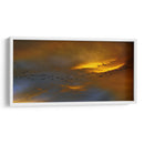 Birds over San Miguel	 - Ezdrifter | Cuadro decorativo de Canvas Lab