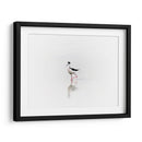 Black necked stilt - Ezdrifter | Cuadro decorativo de Canvas Lab
