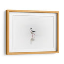 Black necked stilt - Ezdrifter | Cuadro decorativo de Canvas Lab