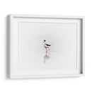 Black necked stilt - Ezdrifter | Cuadro decorativo de Canvas Lab
