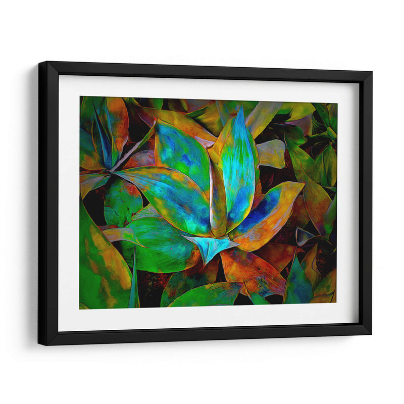 Colored cactus - Ezdrifter | Cuadro decorativo de Canvas Lab