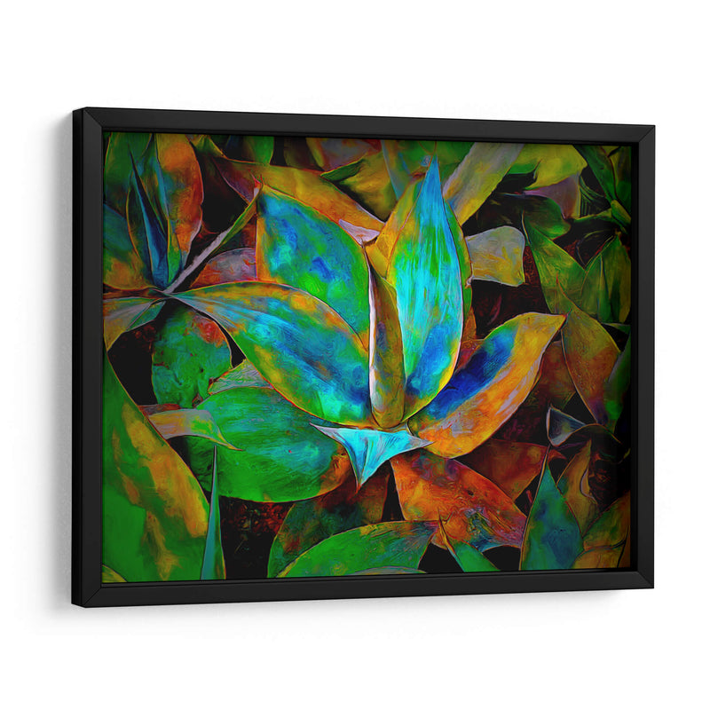 Colored cactus - Ezdrifter | Cuadro decorativo de Canvas Lab