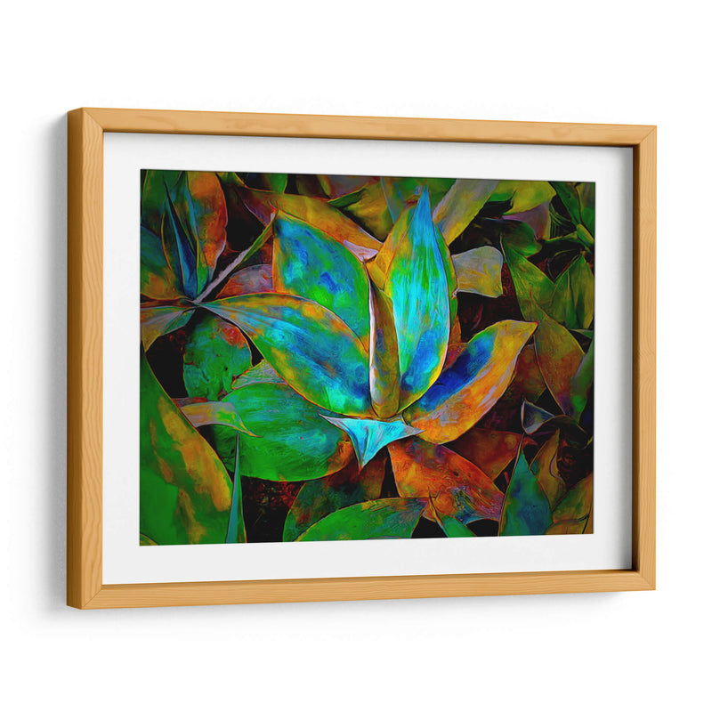 Colored cactus - Ezdrifter | Cuadro decorativo de Canvas Lab