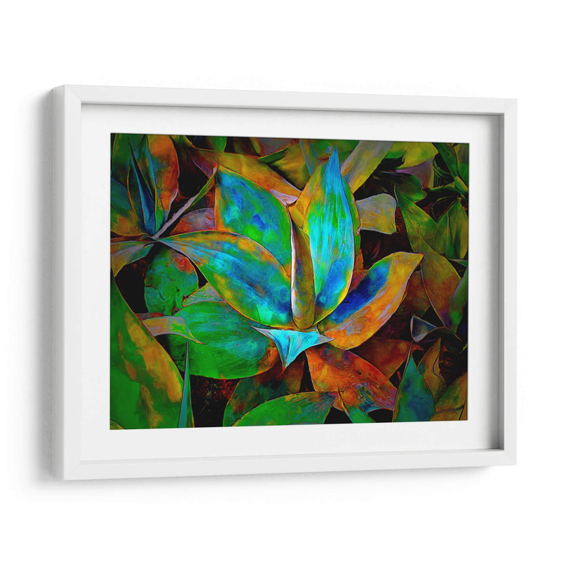 Colored cactus - Ezdrifter | Cuadro decorativo de Canvas Lab