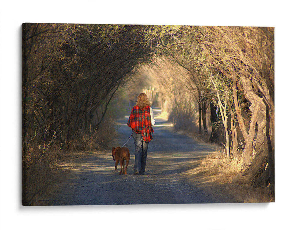 Going for a walk the photograph - Ezdrifter | Cuadro decorativo de Canvas Lab